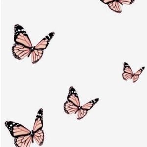 Meet your Posher, Kylie